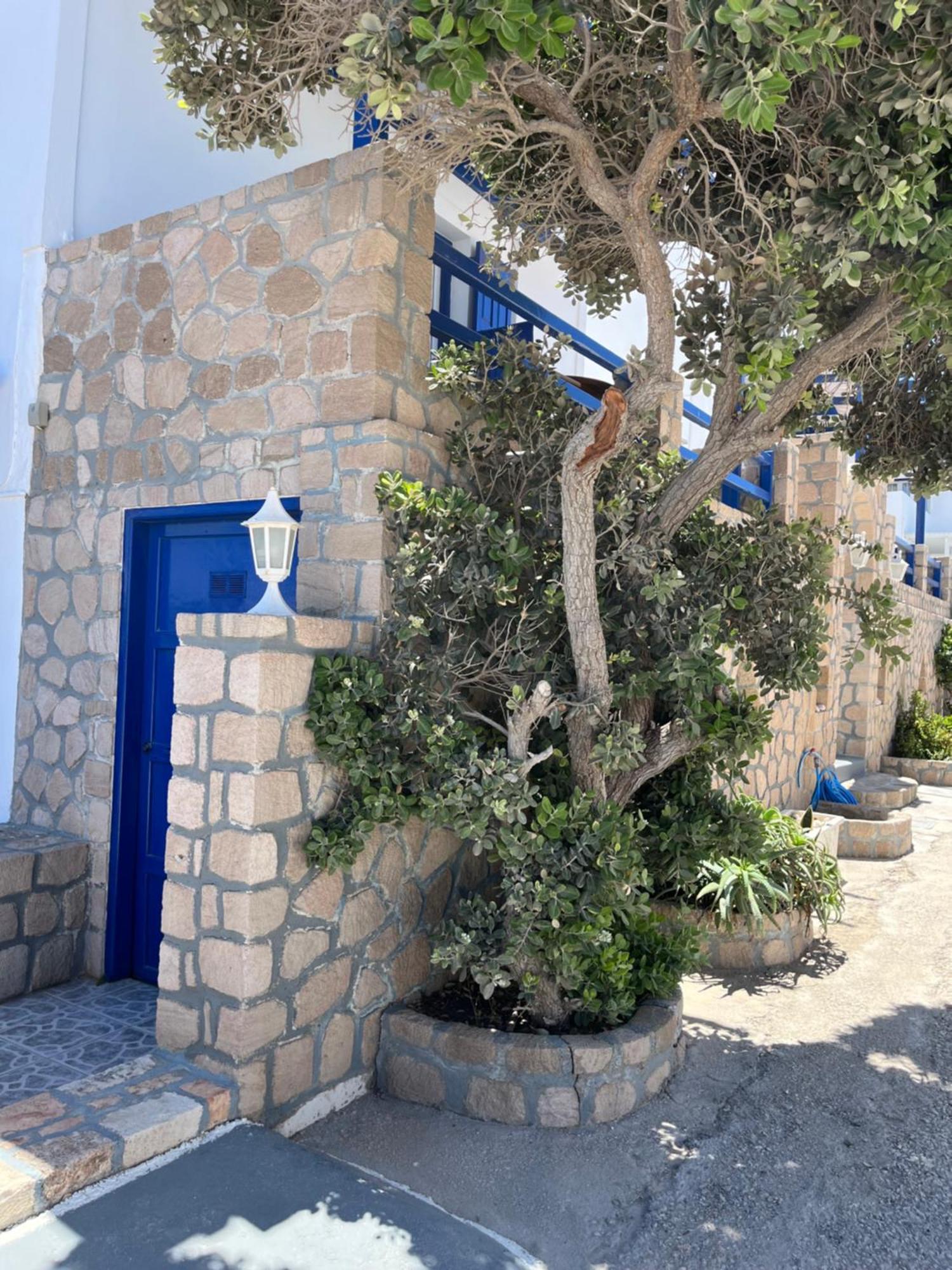 Captain Stavros بولونيا المظهر الخارجي الصورة